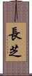 長芝 Scroll