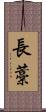 長藁 Scroll