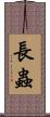 長蟲 Scroll