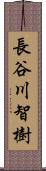 長谷川智樹 Scroll