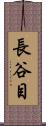 長谷目 Scroll