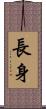 長身 Scroll