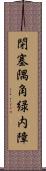 閉塞隅角緑内障 Scroll