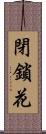 閉鎖花 Scroll
