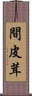 間皮茸 Scroll