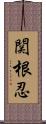 関根忍 Scroll