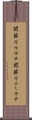 関節リウマチ Scroll