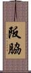 阪脇 Scroll