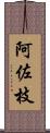 阿佐枝 Scroll