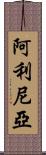 Alinea Scroll