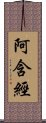 阿含經 Scroll