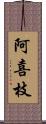 阿喜枝 Scroll