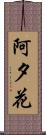 阿夕花 Scroll