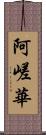 阿嵯華 Scroll