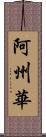 阿州華 Scroll