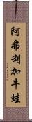 阿弗利加牛蛙 Scroll