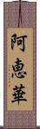 阿恵華 Scroll