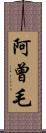 阿曾毛 Scroll