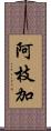 阿枝加 Scroll