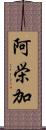 阿栄加 Scroll