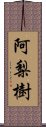 阿梨樹 Scroll