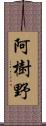 阿樹野 Scroll