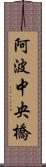 阿波中央橋 Scroll