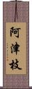 阿津枝 Scroll