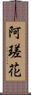 阿瑳花 Scroll