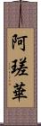 阿瑳華 Scroll