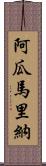 Aguamarina Scroll