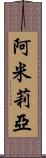Amilia Scroll
