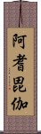 阿耆毘伽 Scroll