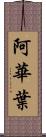 阿華葉 Scroll