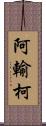 阿輸柯 Scroll