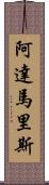 Adamaris Scroll