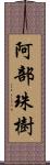 阿部珠樹 Scroll