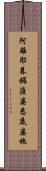 阿離耶暮攞薩婆悉底婆拖 Scroll