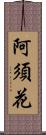 阿須花 Scroll