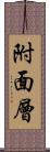 附面層 Scroll
