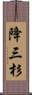 降三杉 Scroll