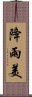 降雨美 Scroll