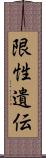 限性遺伝 Scroll