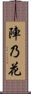 陣乃花 Scroll