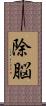 除脳 Scroll