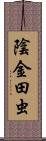 陰金田虫 Scroll