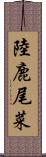 陸鹿尾菜 Scroll