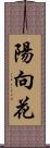 陽向花 Scroll