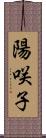 陽咲子 Scroll