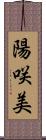 陽咲美 Scroll